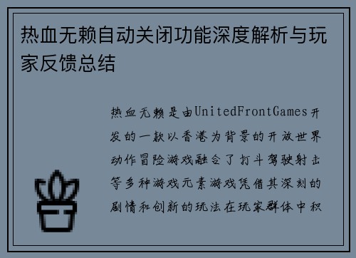 热血无赖自动关闭功能深度解析与玩家反馈总结